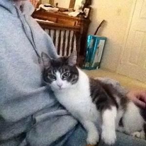 Meet your Posher, Mark